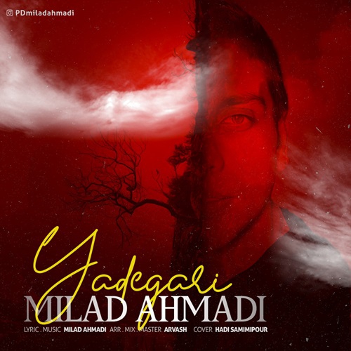 میلاد احمدی یادگاری